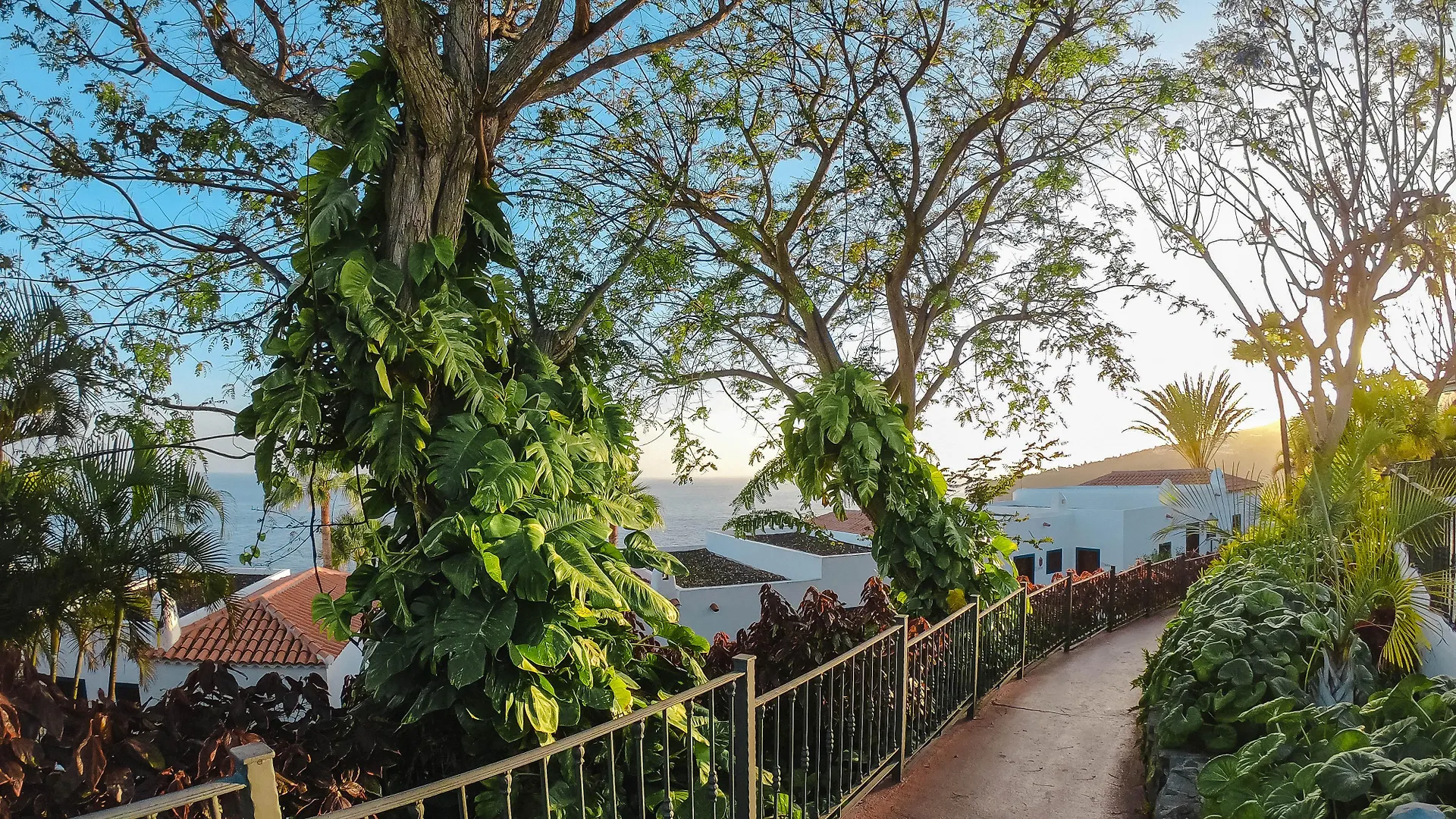 פלאיה דה סנטיאגו Hotel Jardin Tecina  פלאיה דה סנטיאגו